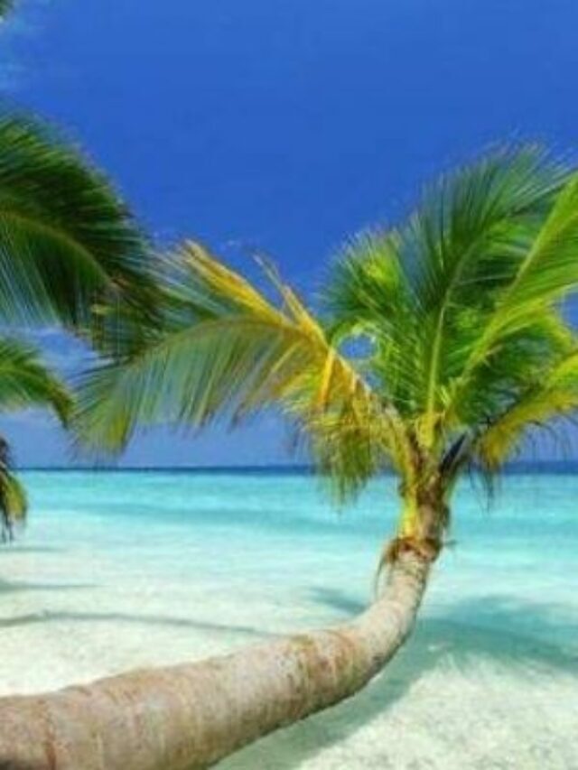 Quer visitar as Bahamas.