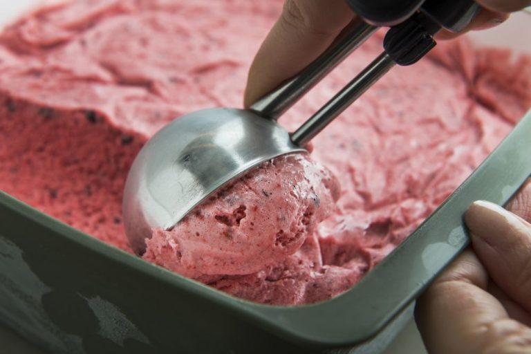 Como Fazer Sorbet de Frutas Cítricas