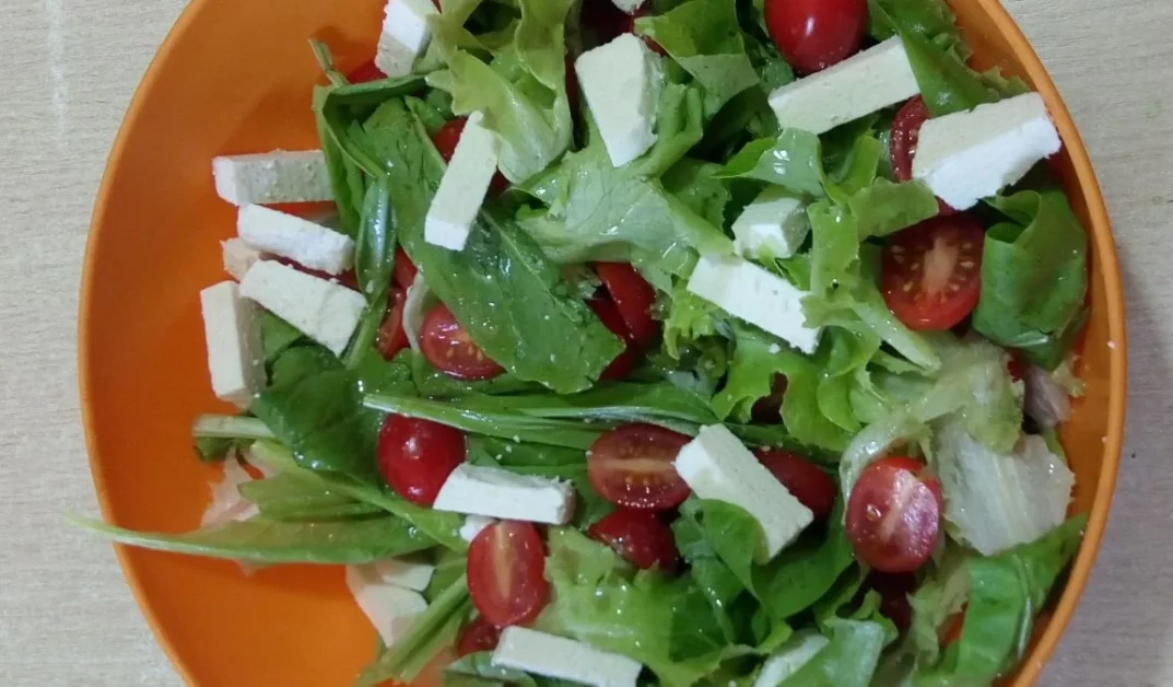 Como fazer salada de queijo branco com tomate: Receita leve e refrescante para dias quentes