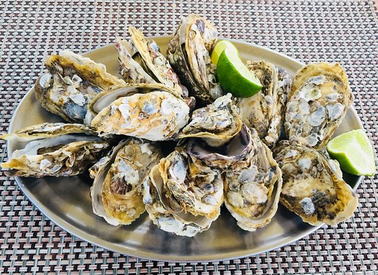 Como fazer Ostras Gratinadas com Ervas: Sabor do mar em cada mordida!